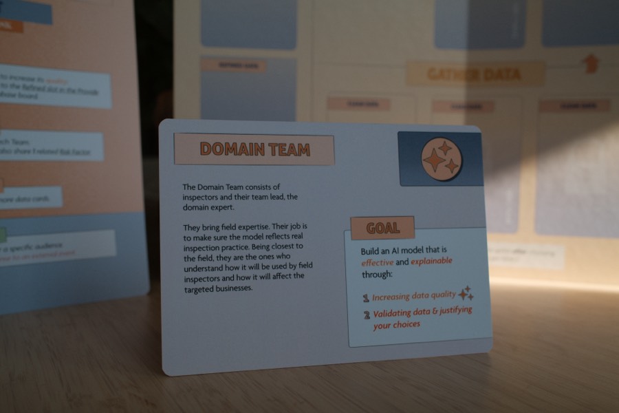 The Domain Team role card standing in front of its board